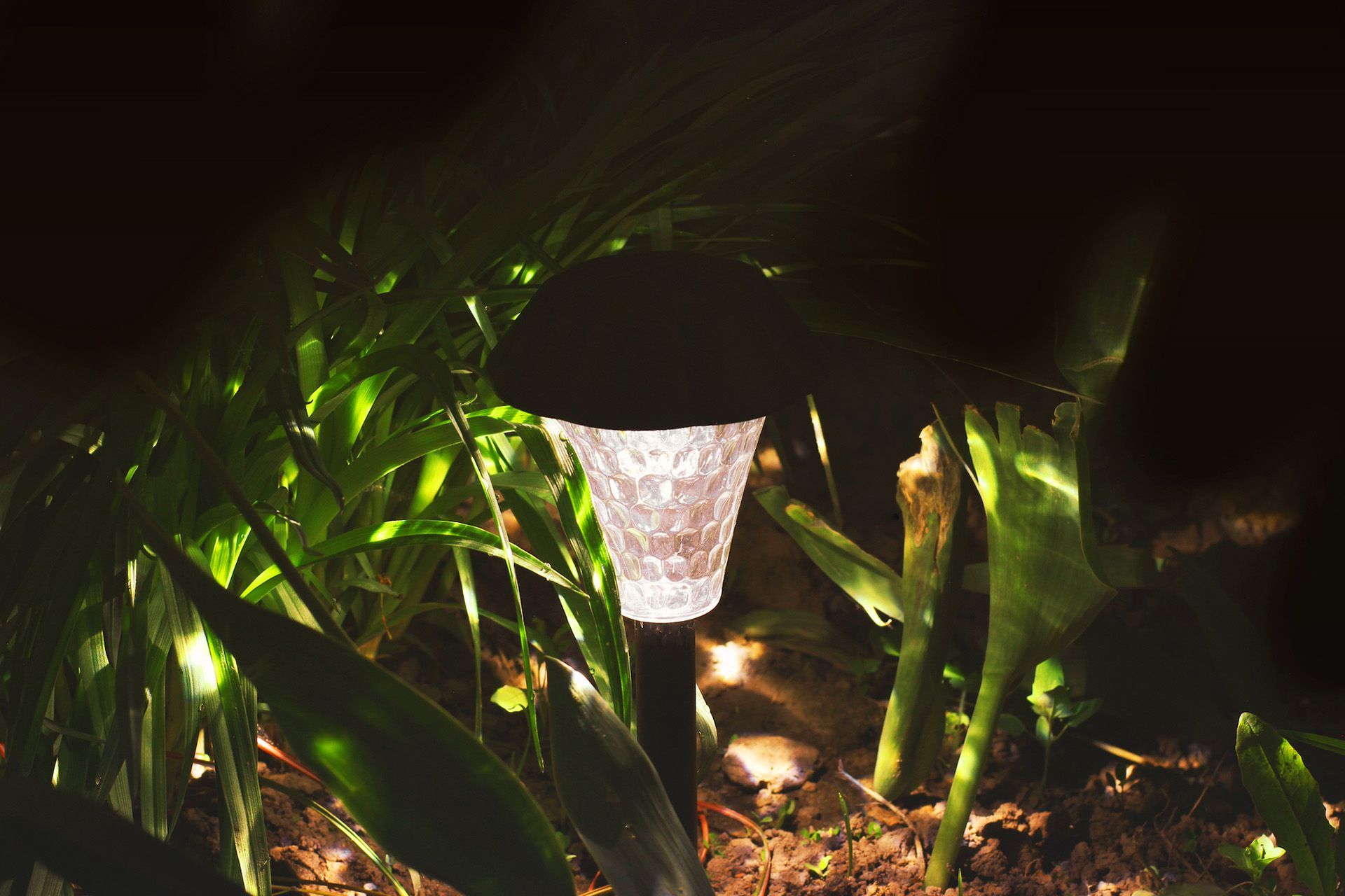 A small light is sitting in the middle of a garden at night