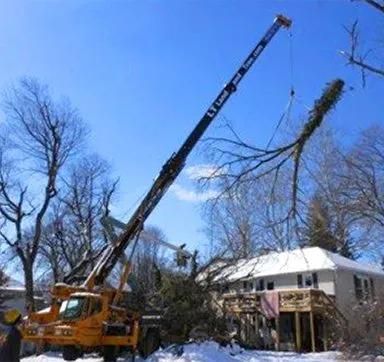 Crane lifts a large tree limb beside a snow-covered house on a clear winter day.