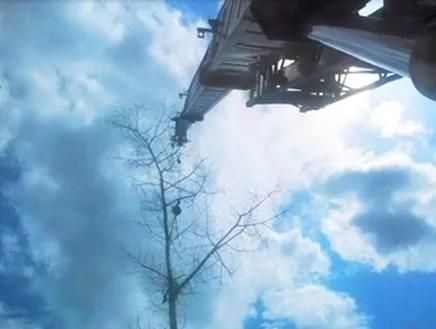 Fire truck ladder reaching toward a tree against a bright blue sky with clouds