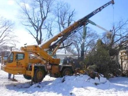 Yellow crane truck lifting debris in a snowy yard beside bare trees and fallen branches