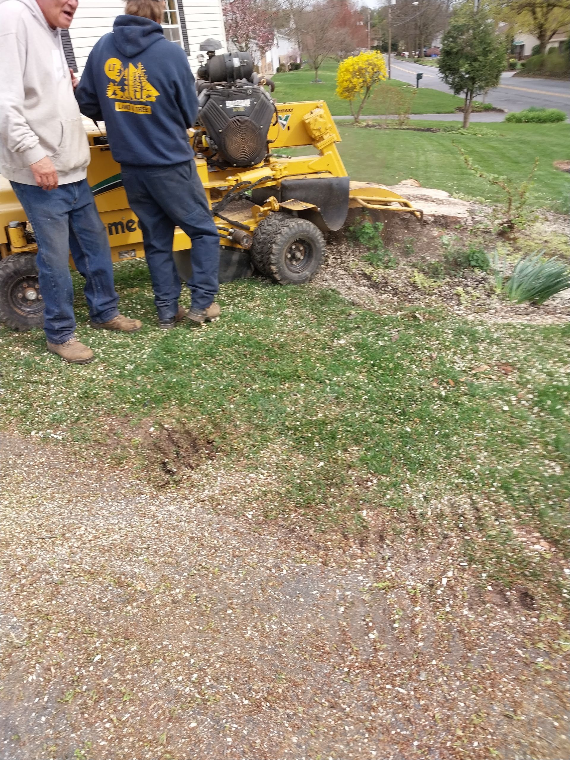 Workers loading a yellow machine onto a trailer in a grassy yard with fallen leaves