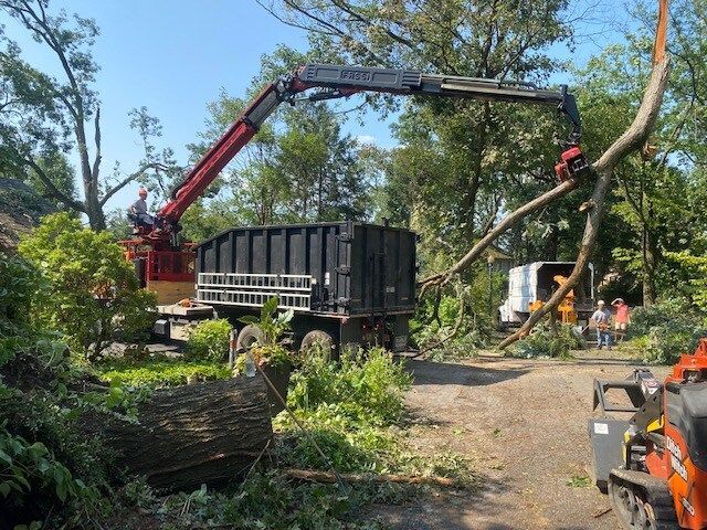 Crane loading a truck with cut tree branches in a wooded work site