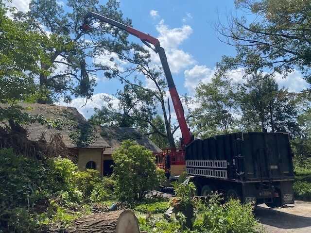 Red crane loading debris onto a black truck in a leafy yard beside a house