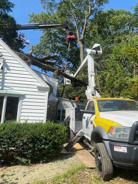 Bucket truck trimming a tree beside a white house, with a worker in the raised boom.