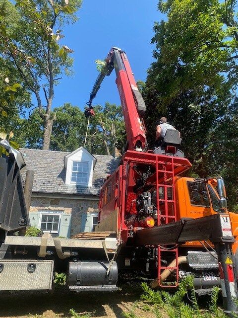 Red crane lifting a large prefab dormer onto a house roof amid trees.