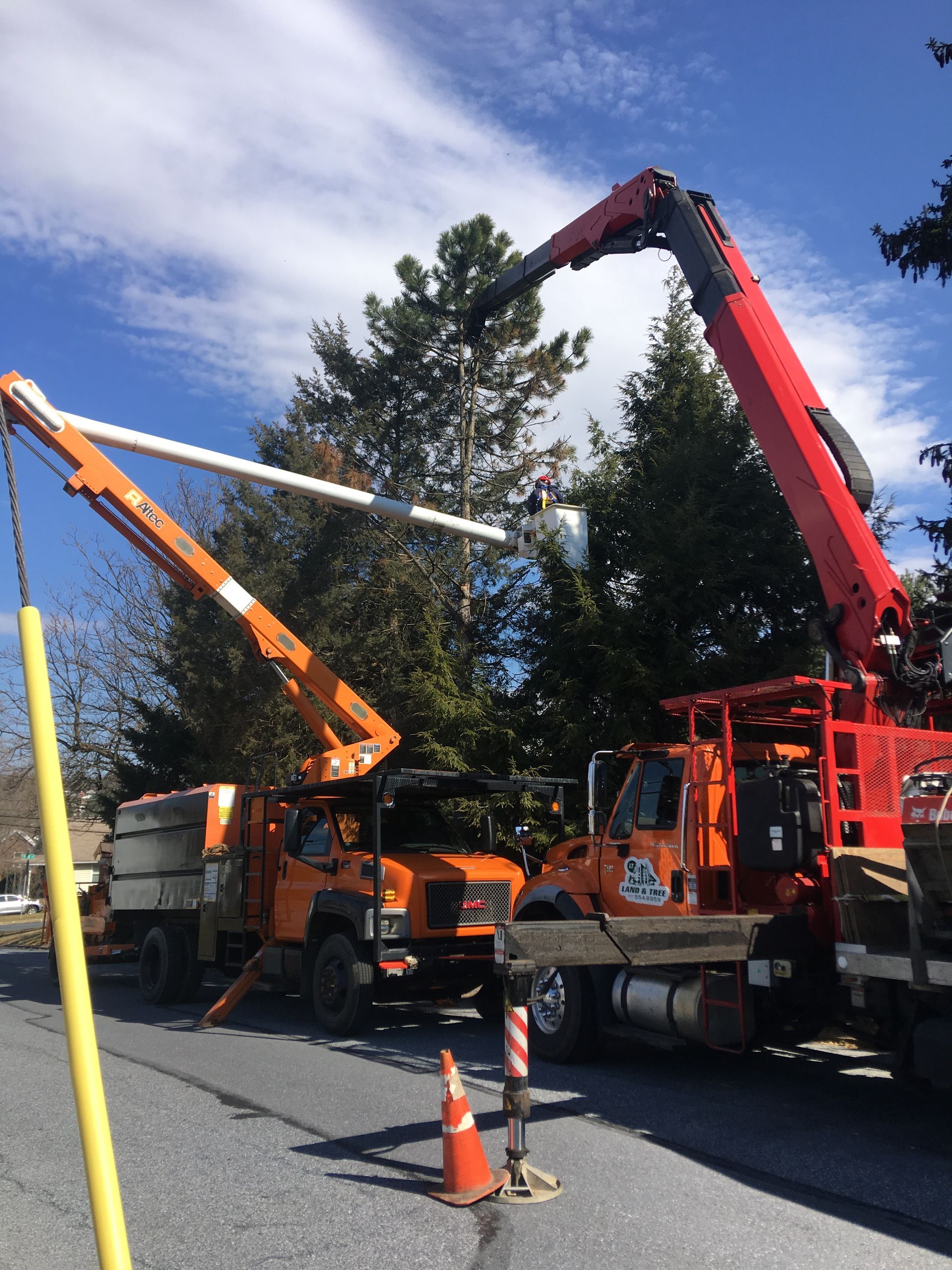 Two utility bucket trucks with raised booms and traffic cones on a roadside under a blue sky