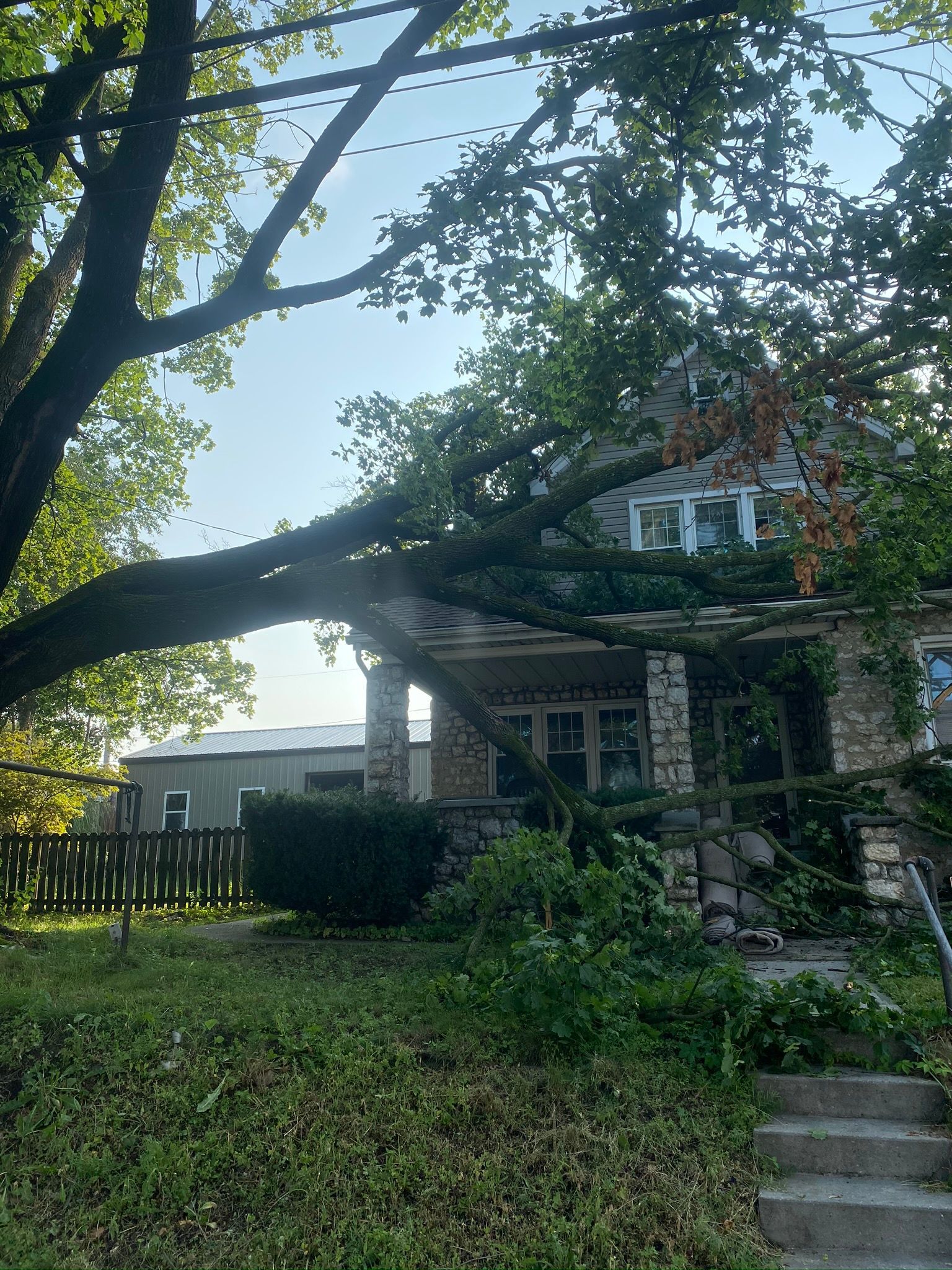 Tree-shaded house with stone steps, porch, and overgrown yard in daylight