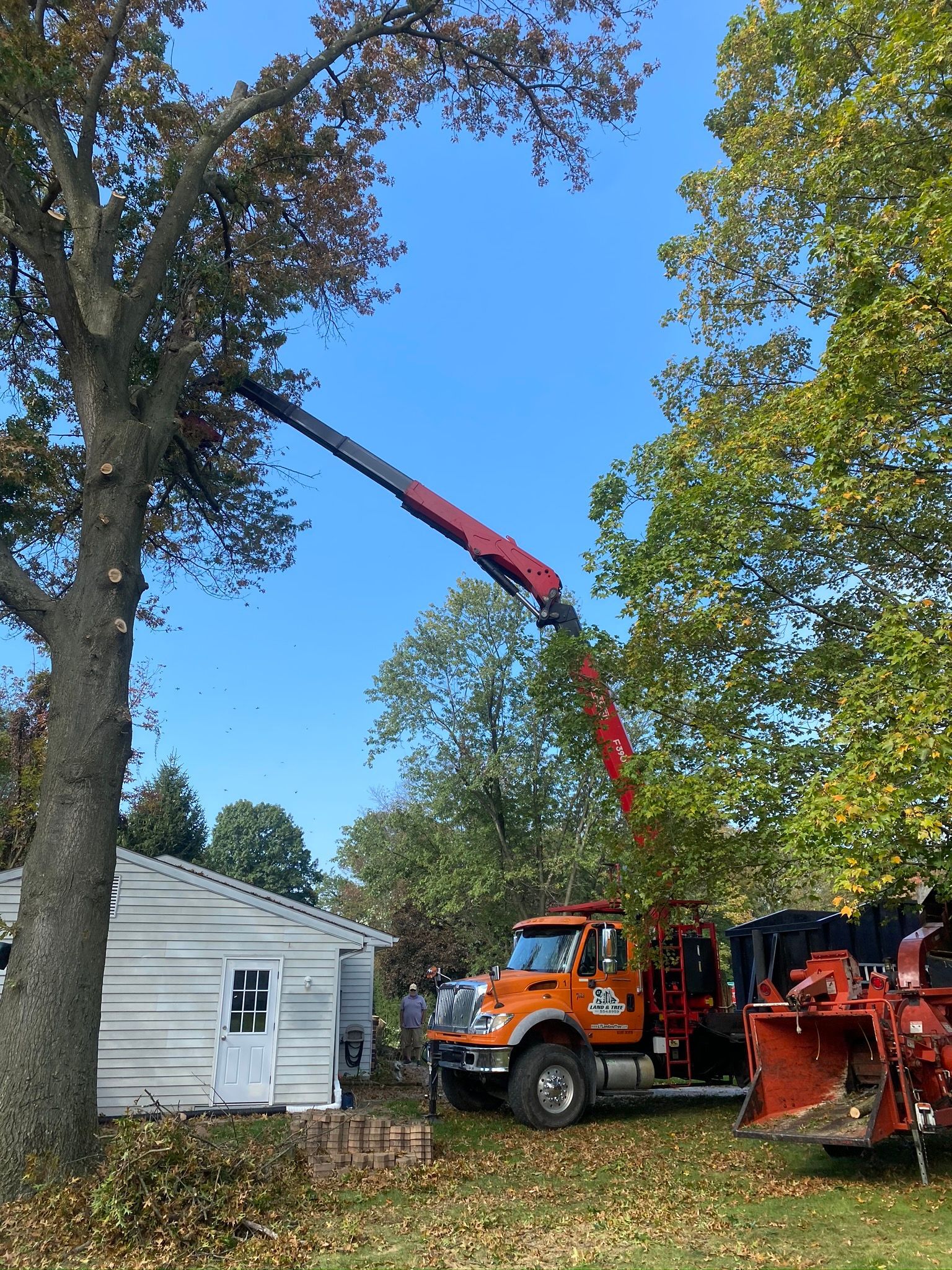Tree trimming with orange truck and red bucket lift beside a white house on a sunny day
