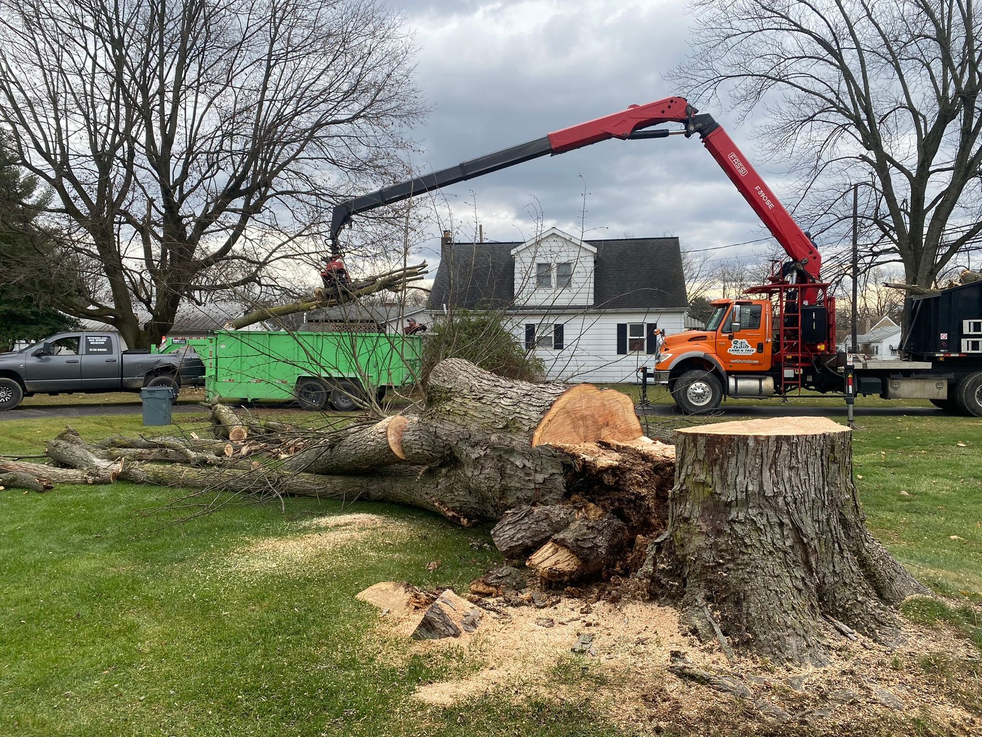 Crane loading large tree logs into a green dumpster in a suburban yard, with a house and stump nearby