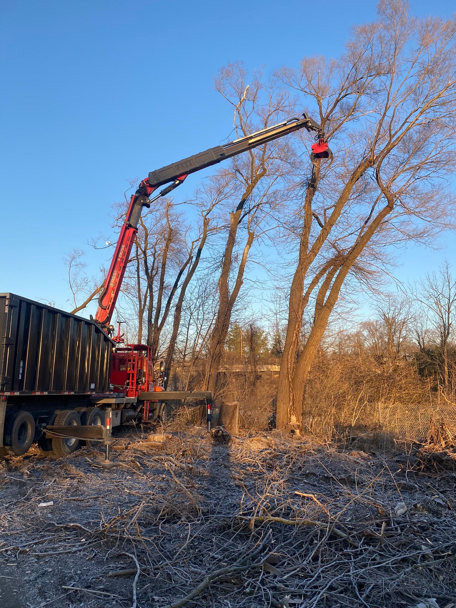 Truck-mounted crane lifting a cut tree in a snowy, wooded area at sunset