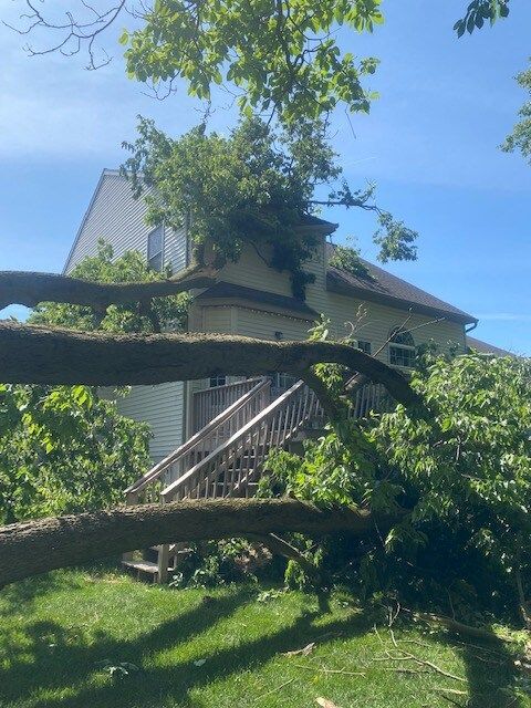 Fallen tree limb across a grassy yard, with a house and stairs in the background under a blue sky.