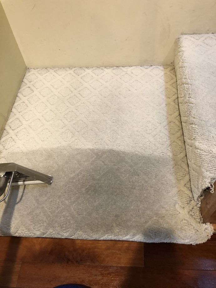 upholstery cleaning