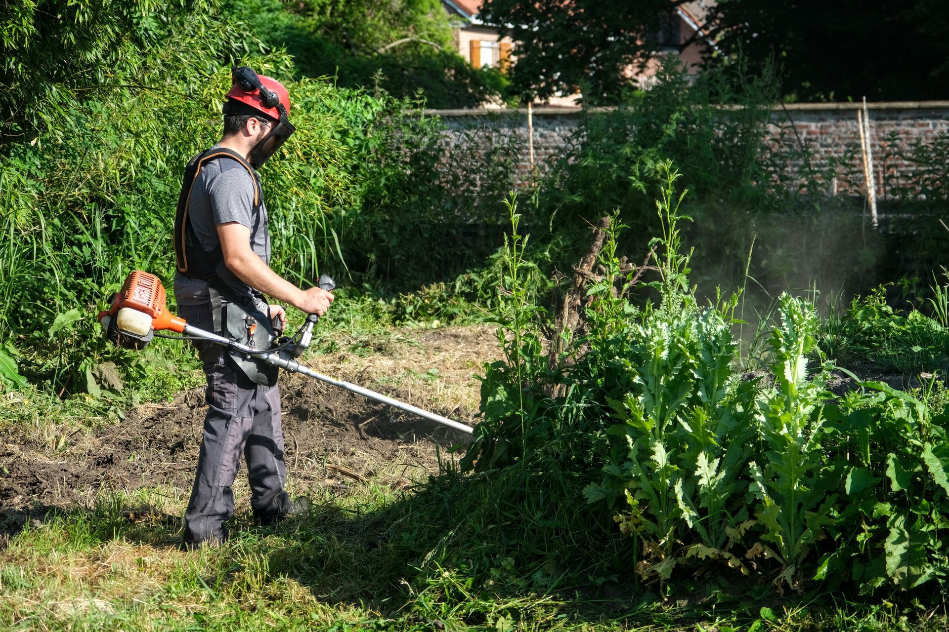 Cleared dirt path through a wooded area, with cut branches and brush piled along the sides.