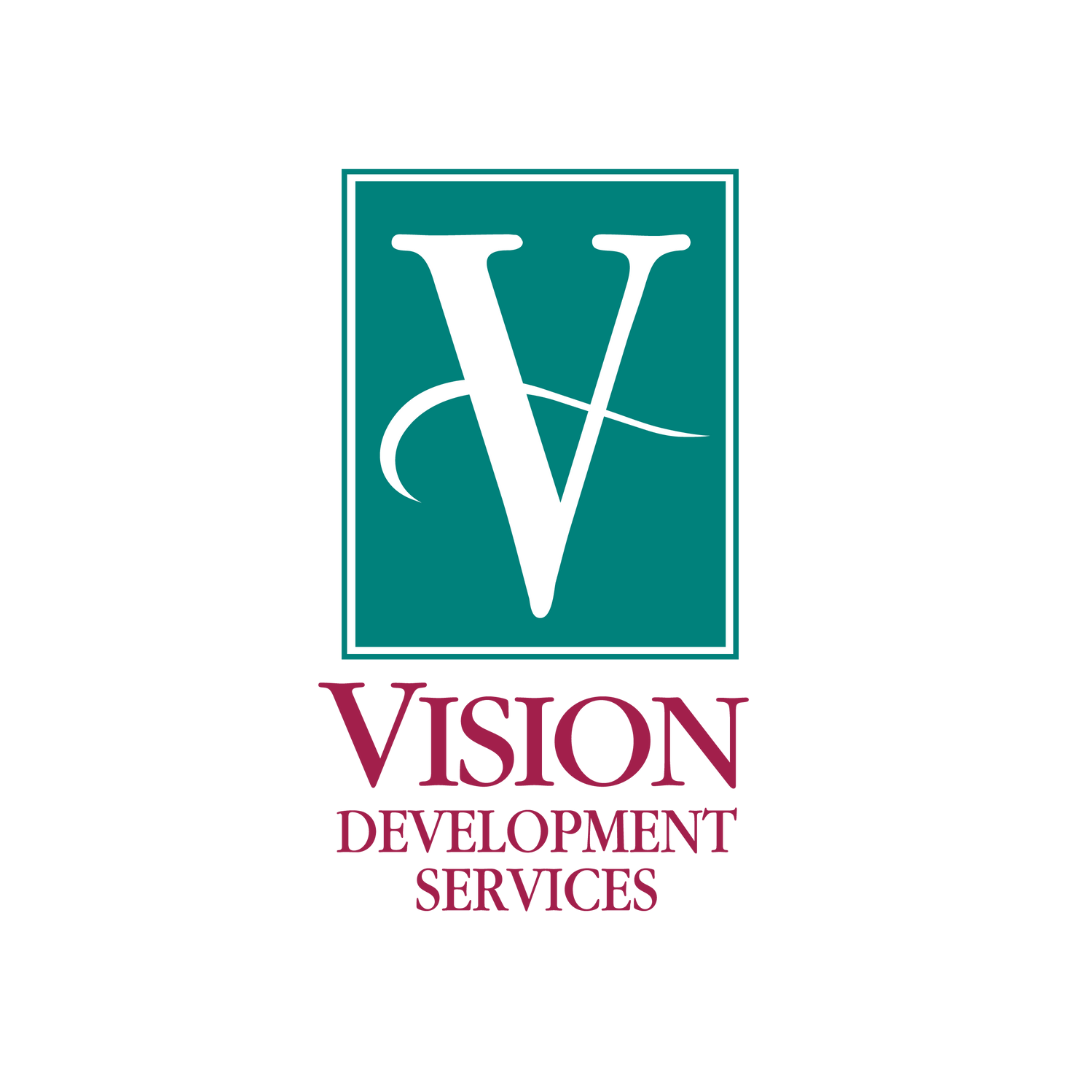 A logo for vision development services with a letter v in a square