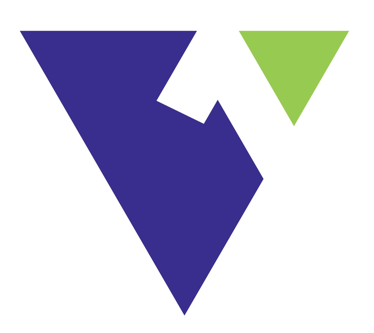 1Vision logo