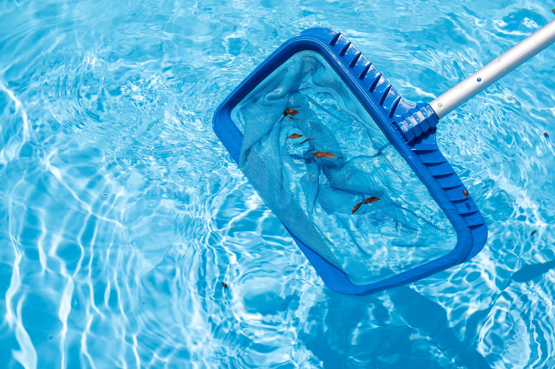 A blue net is being used to clean a swimming pool.