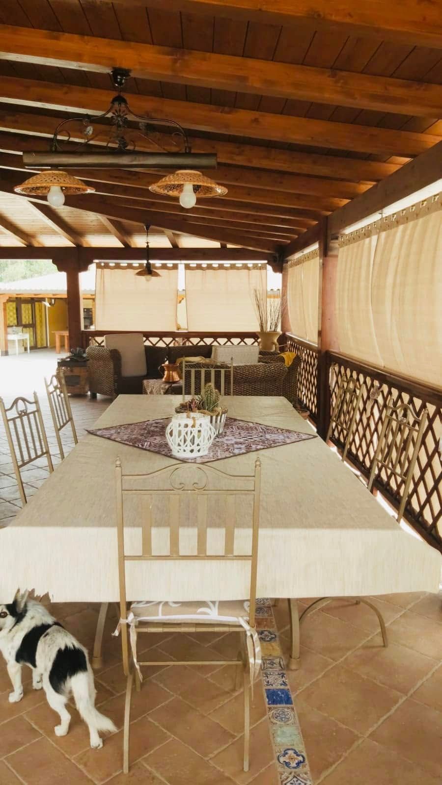 Patio coperto con lungo tavolo, sedie e un cane su un pavimento piastrellato sotto un tetto di legno.