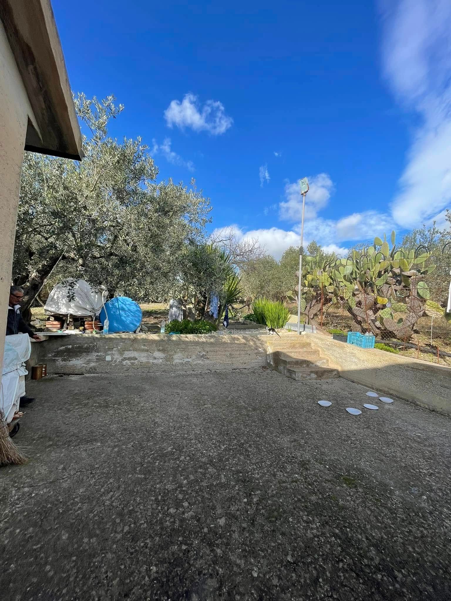 Cortile ghiaioso accanto a una casa, con alberi, un contenitore blu e un cielo azzurro brillante con nuvole.