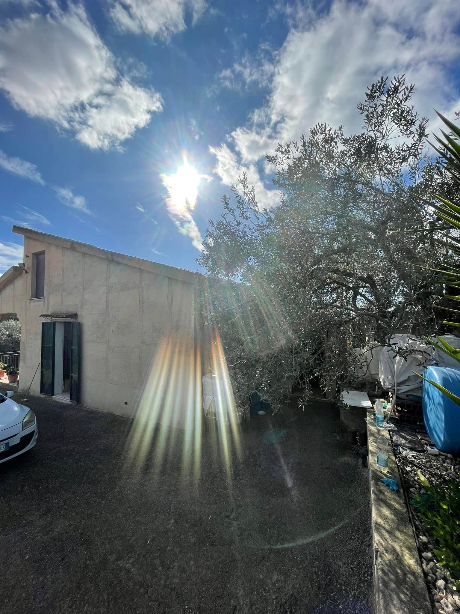 Cortile soleggiato accanto a una casa beige, con un albero, un'auto parcheggiata, un bidone blu e raggi di sole splendenti nel cielo.