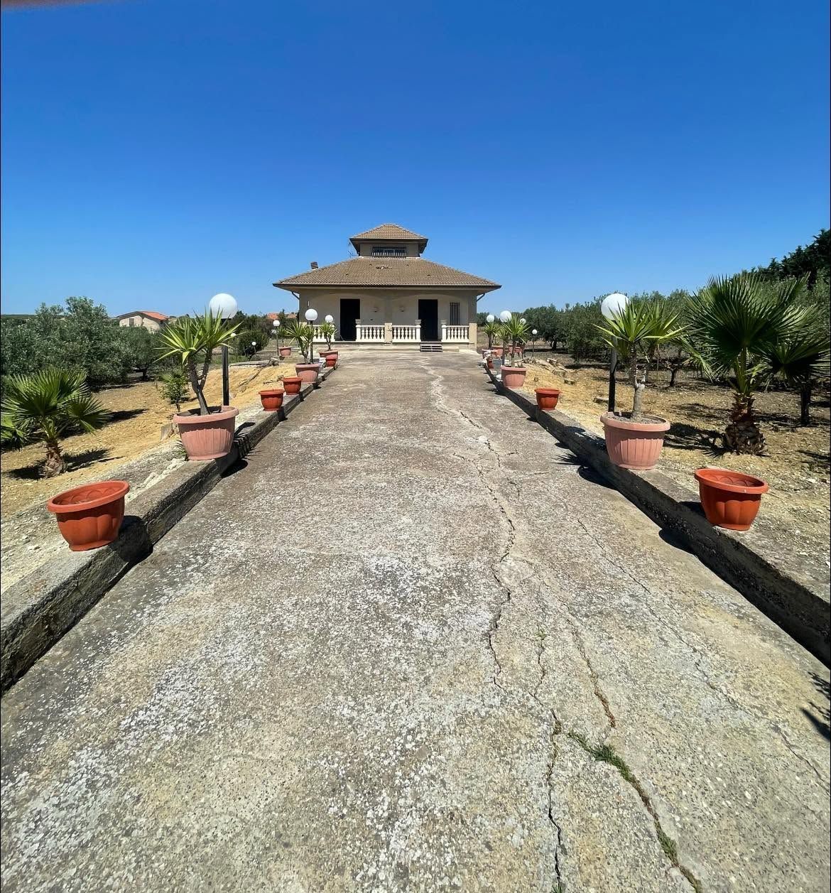 Un lungo sentiero fiancheggiato da piante in vaso conduce a un tempio color ocra sotto un cielo azzurro brillante.