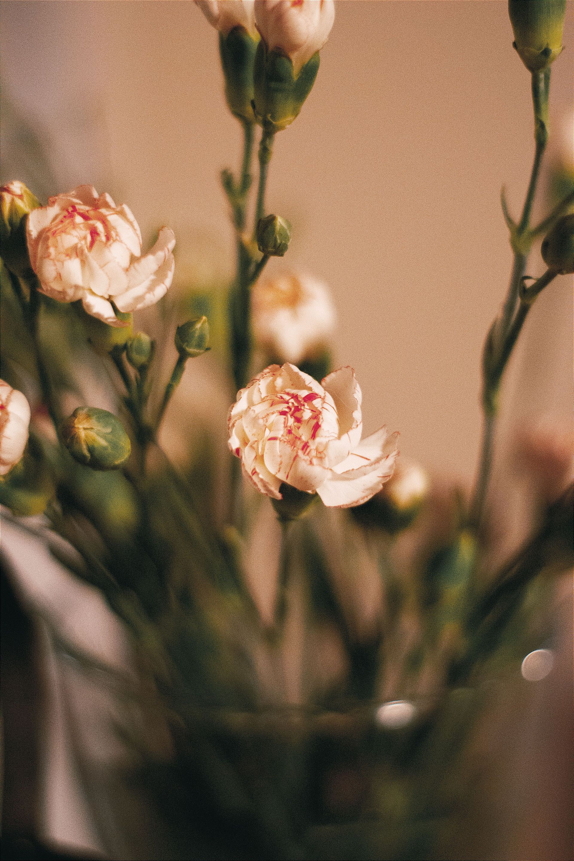 Funeral Pre-Planning