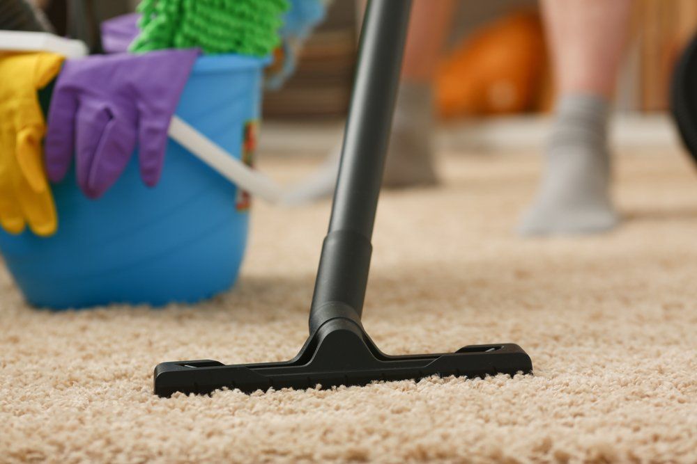 A Person Is Cleaning a Carpet with A Vacuum Cleaner — Turbo Clean in Tuncurry, NSW