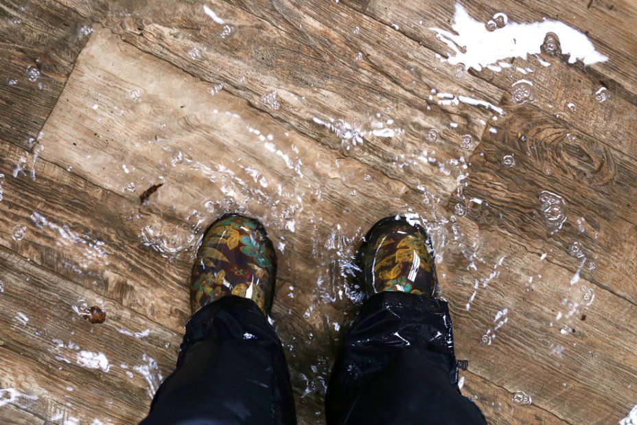 A Person Is Standing on A Wooden Floor with Their Feet in The Water — Turbo Clean in Tuncurry, NSW
