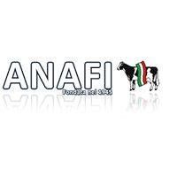 Logo ANAFI con lettere delineate in nero e un cagnolino nei colori della bandiera italiana.