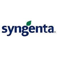 Logo Syngenta in blu con una foglia verde sopra la 