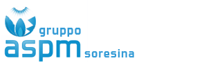 Logo del Gruppo ASPM Soresina in blu e bianco con icona astratta di una foglia.