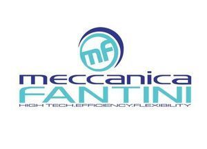 Logo per Meccanica Faniini con la sigla “mf” stilizzata e il nome dell'azienda nei colori verde acqua e viola.