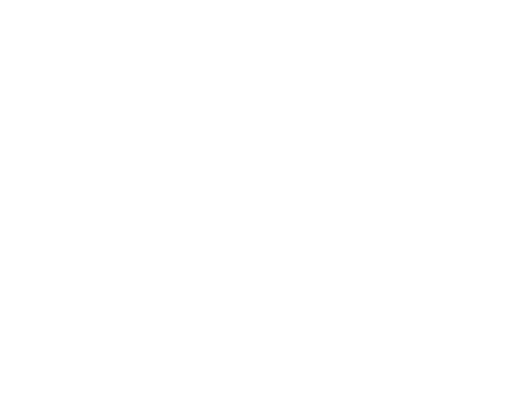 Pricing Strategy