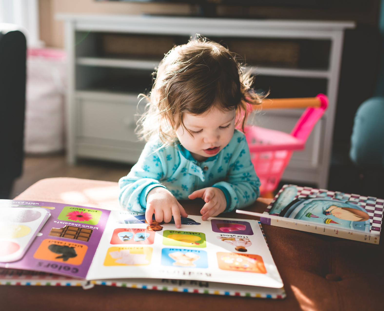 Young child looking in a book