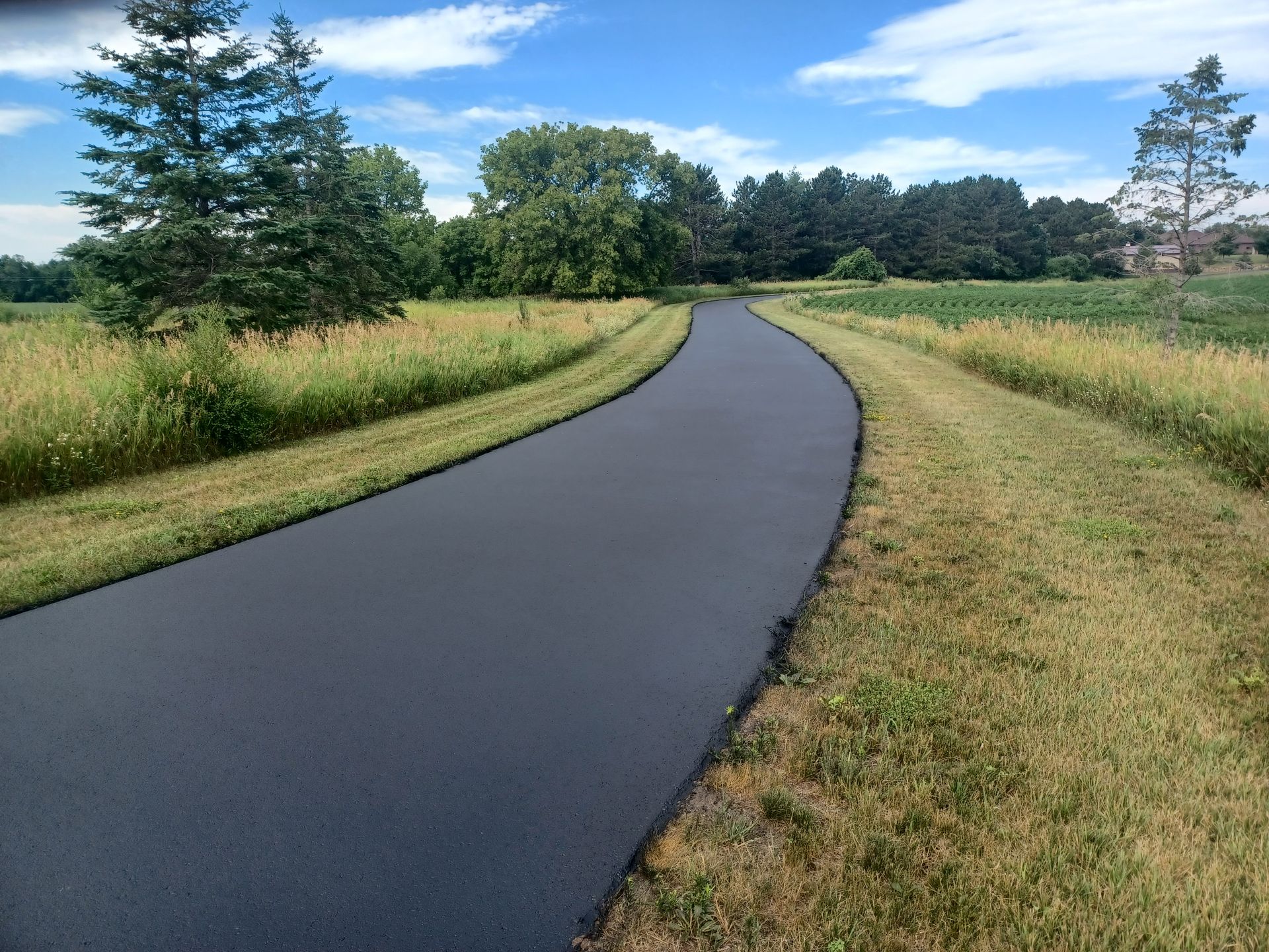 Curving paved path through a grassy meadow with trees under a clear blue sky