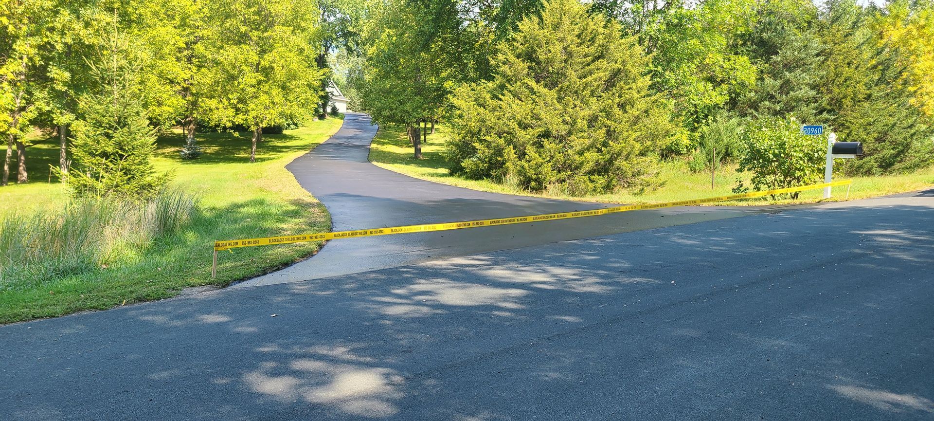 Sunlit paved path through green trees beside a quiet road