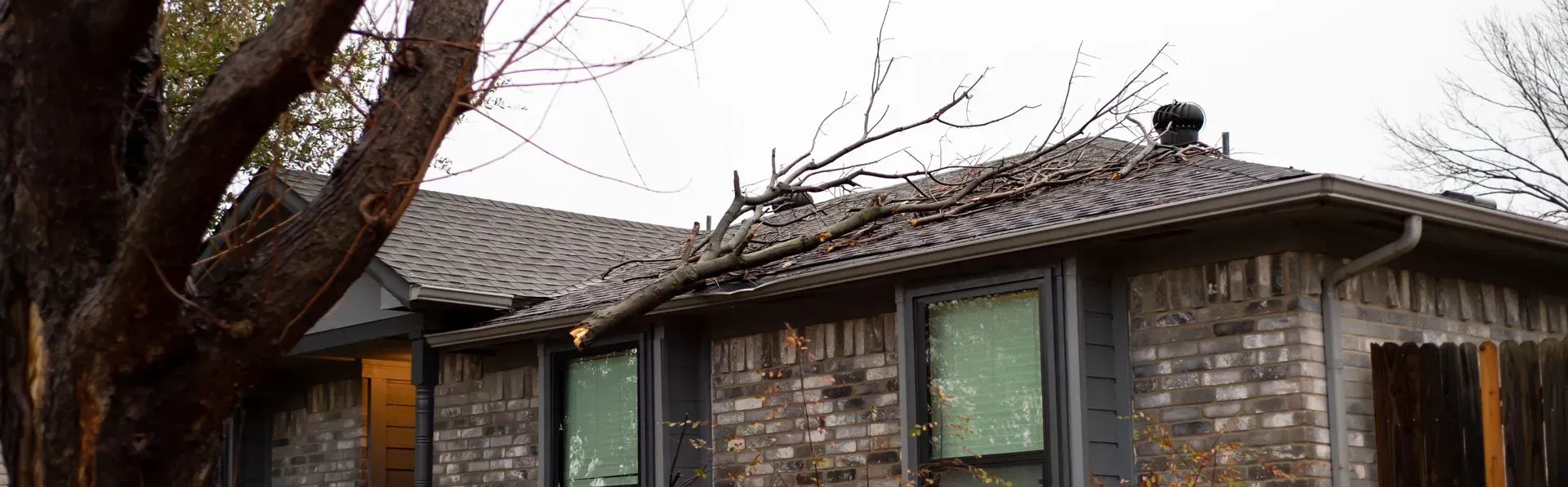 Bare wooden house with a tiled roof and green window under bare tree branches
