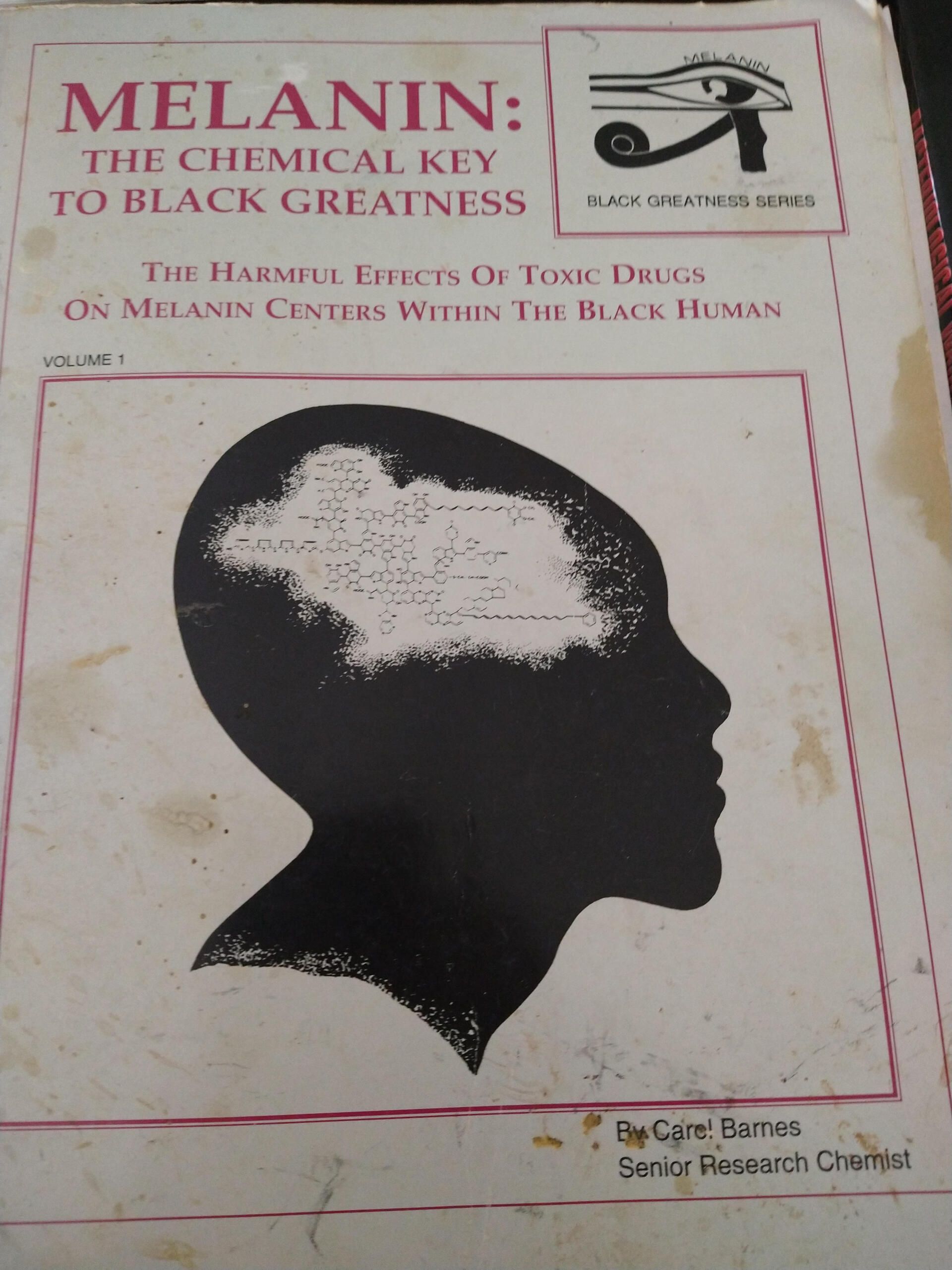 A book titled melanin shows a silhouette of a man 's head