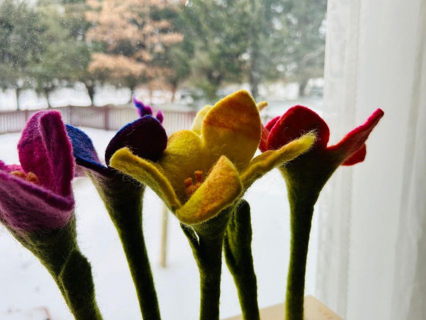 Colorful fuzzy flowers by a window, with blurred trees outside
