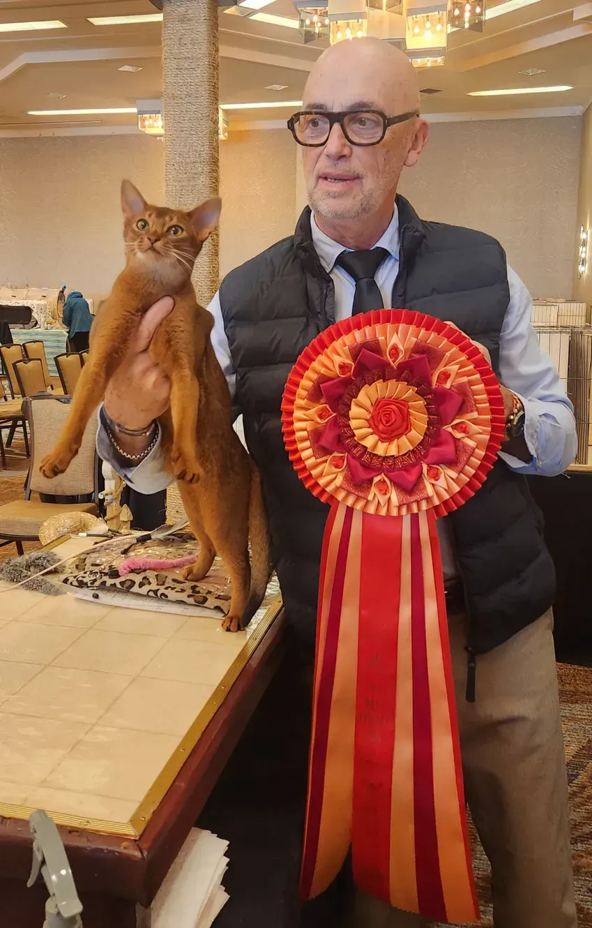 Man holding a cat and a red award ribbon in a banquet hall