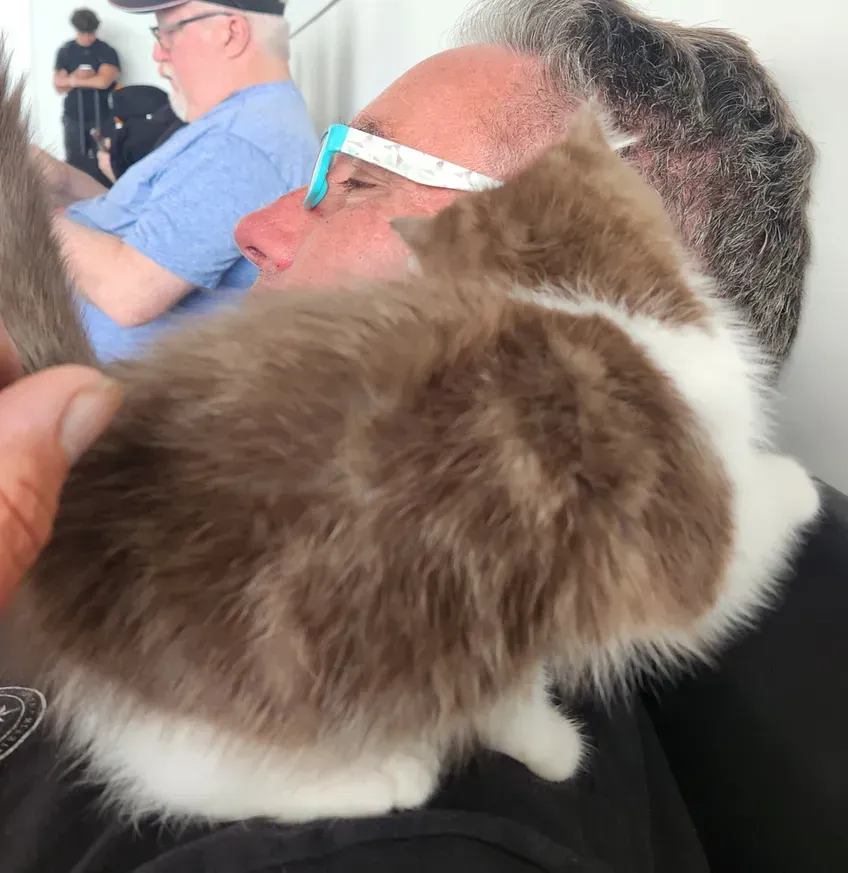 Fluffy brown-and-white cat curled on a man's shoulder in a crowded indoor setting