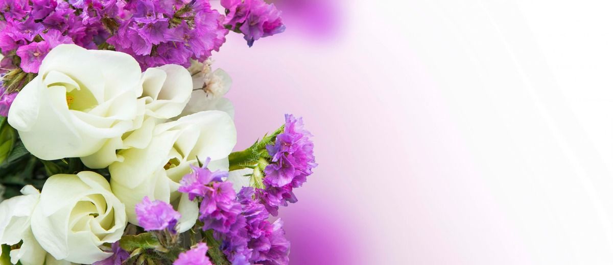 White roses and purple flowers on a soft pink gradient background