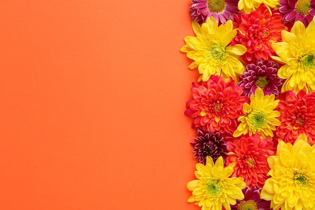 Orange background with a cluster of yellow and red flowers along the right edge