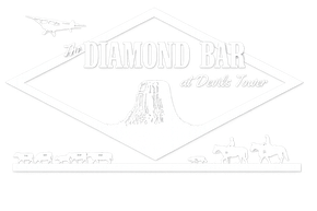 Diamond Bar city logo with a diamond outline and mountain landscape, text reading “Diamond Bar” and “A City of the Hills”