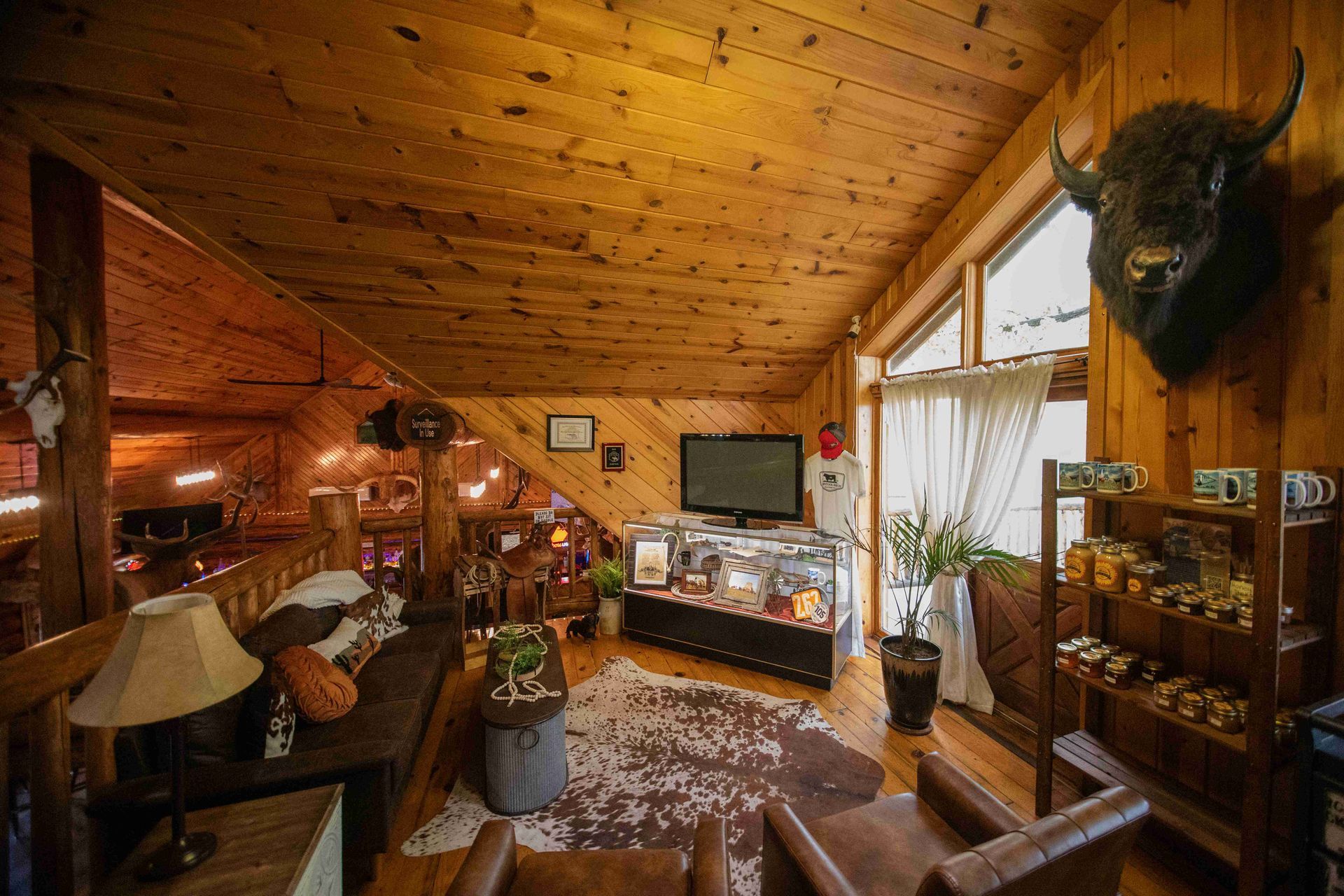 Cozy log cabin living room with wood walls, mounted deer head, and TV by a large window
