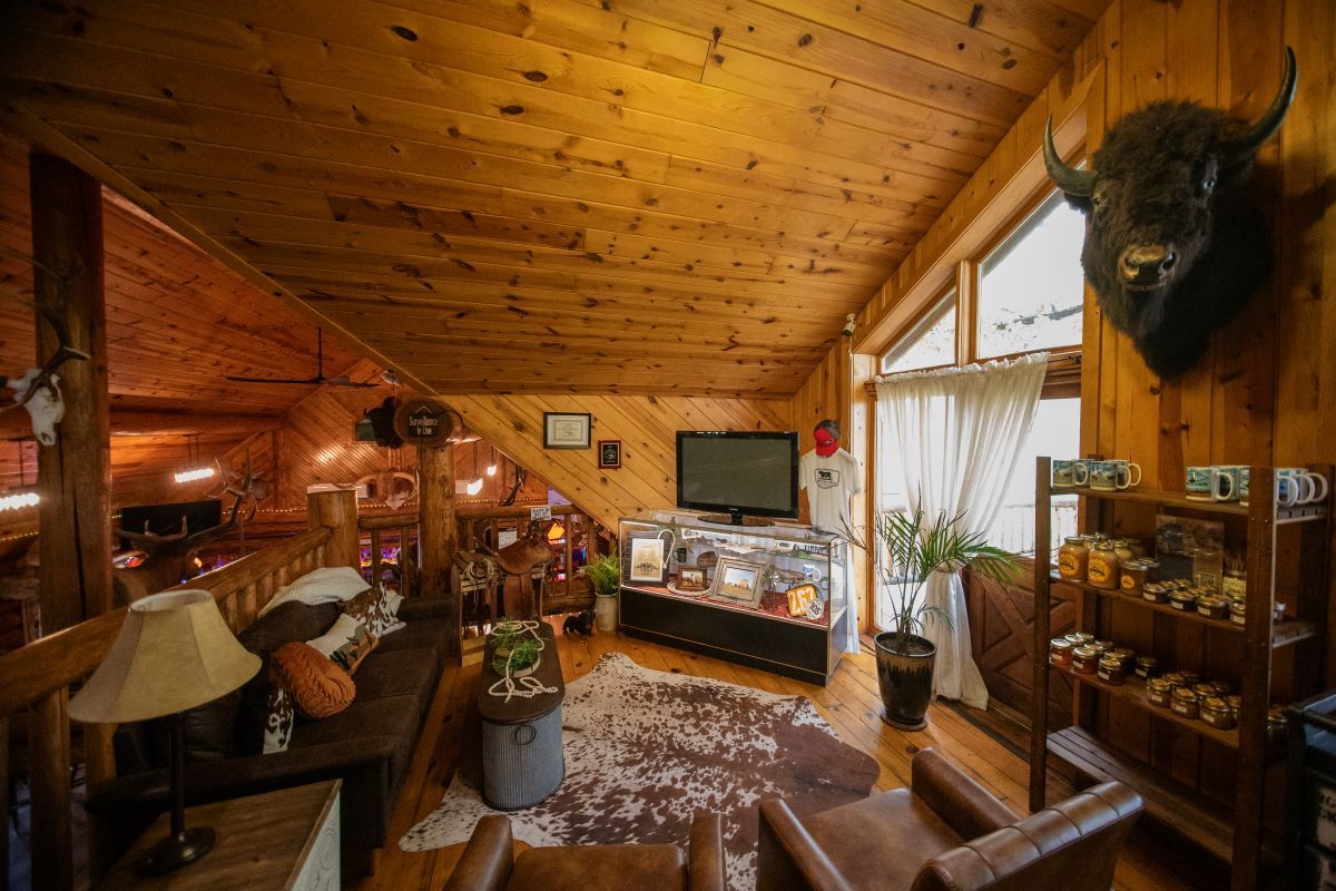 Cozy log cabin living room with wood-paneled walls, rustic decor, large window, and mounted elk head