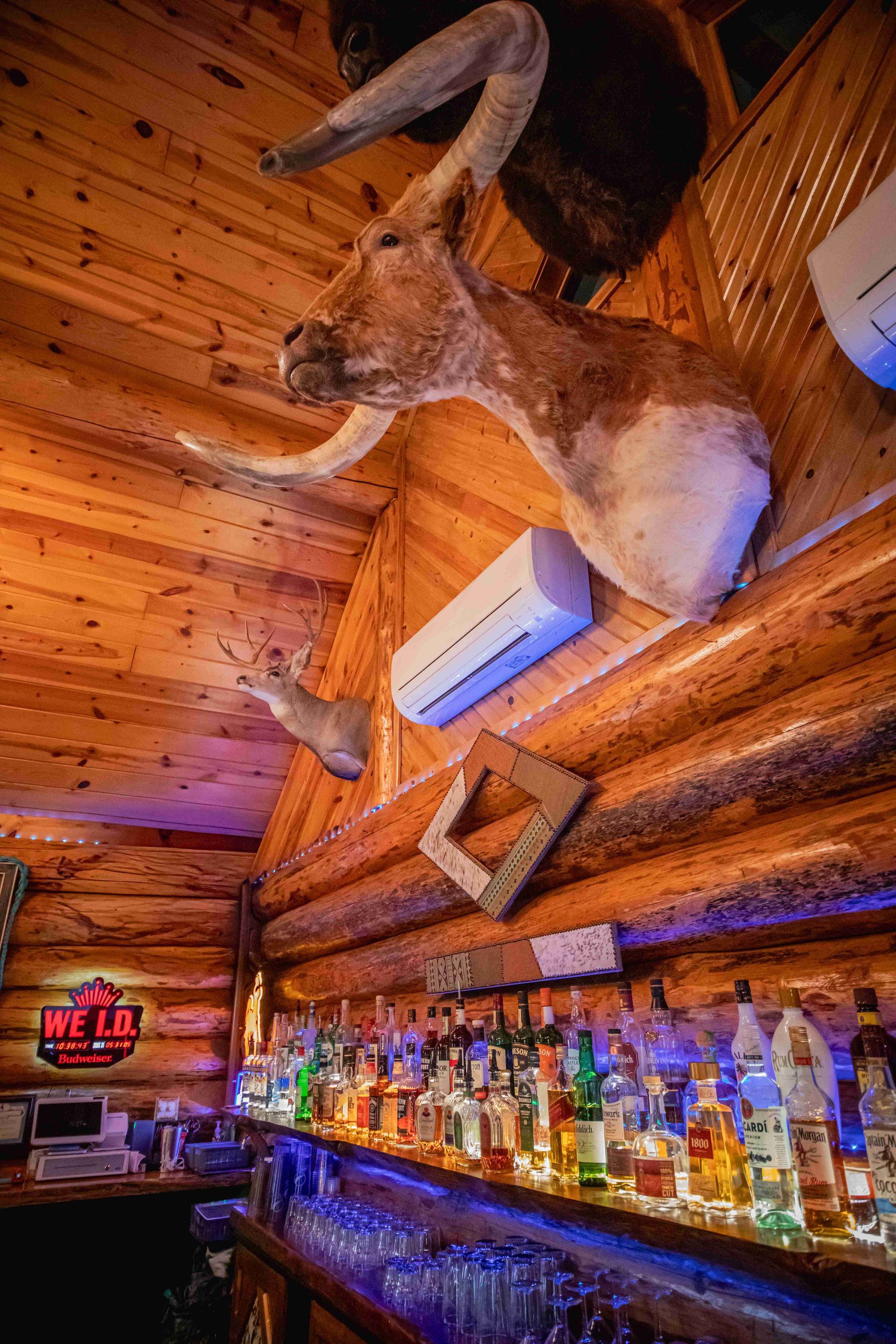 Mounted deer head above a glowing bar lined with colorful liquor bottles in a log cabin interior