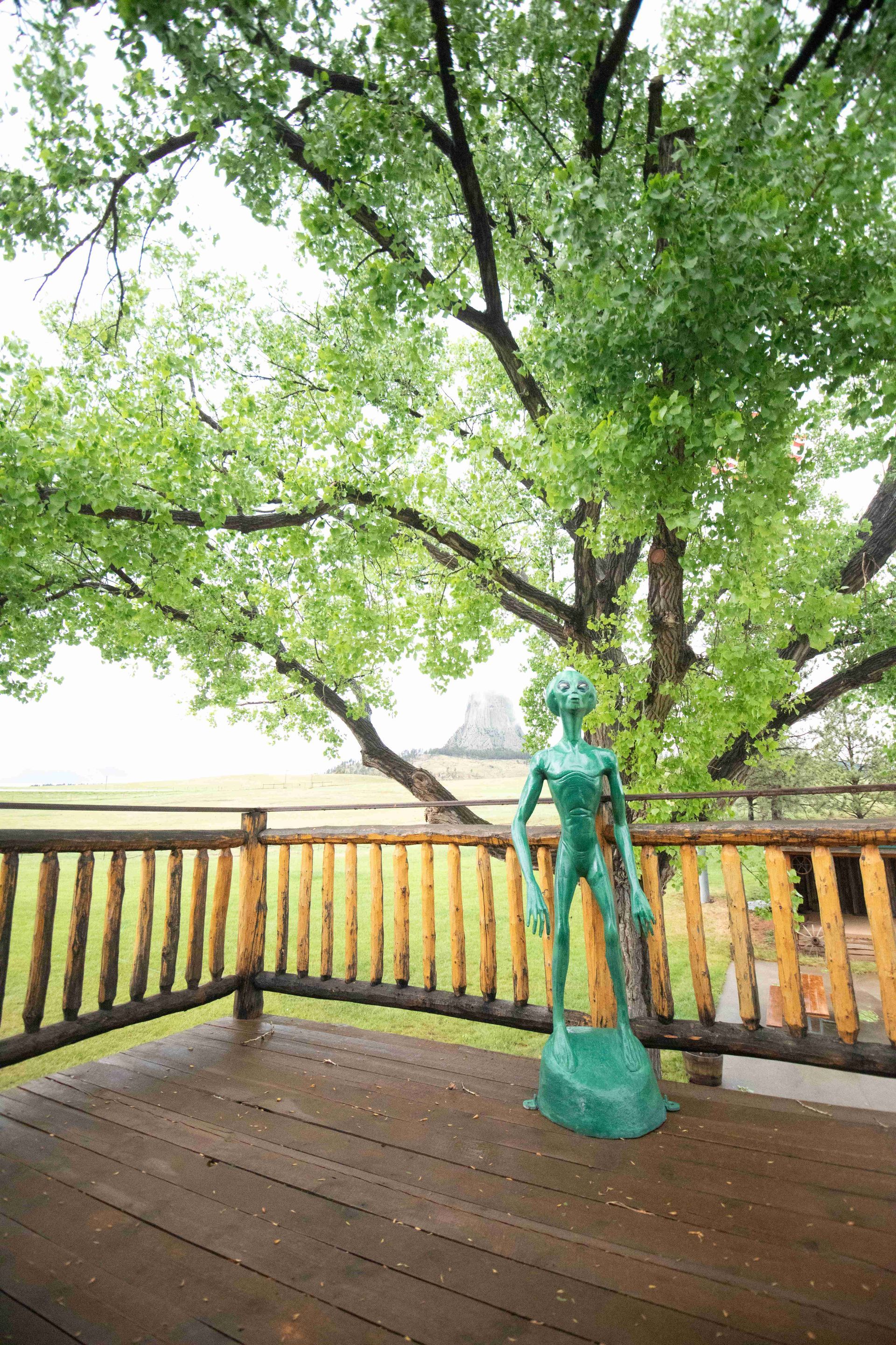 Green statue on a wooden deck with a railing, under a large leafy tree outdoors
