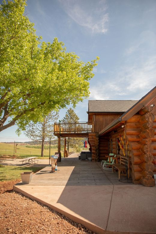 Log cabin patio with a large tree, balcony, and a person standing in the shade under a blue sky