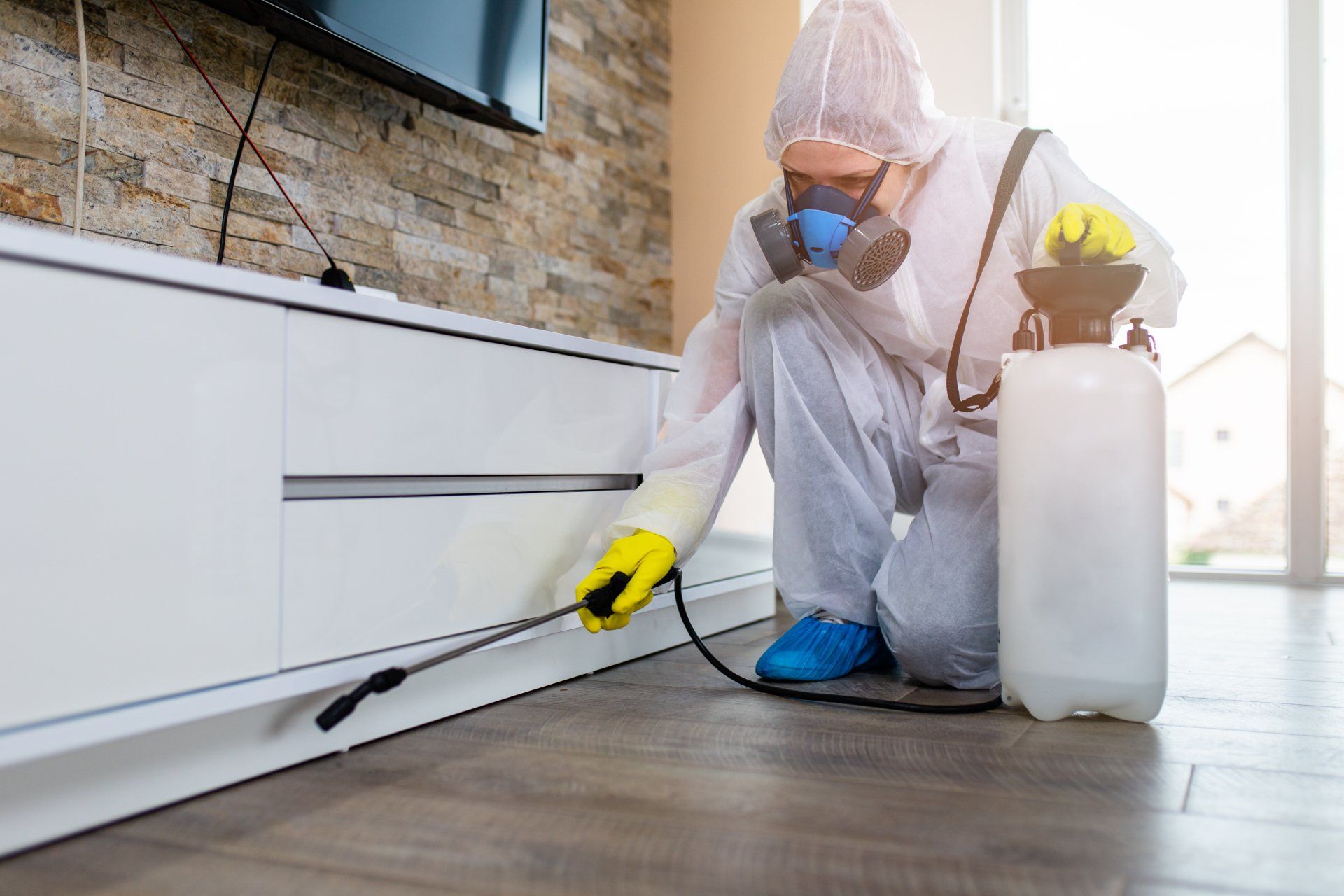 Exterminator & Pest Control Service in , Elizabeth NJ