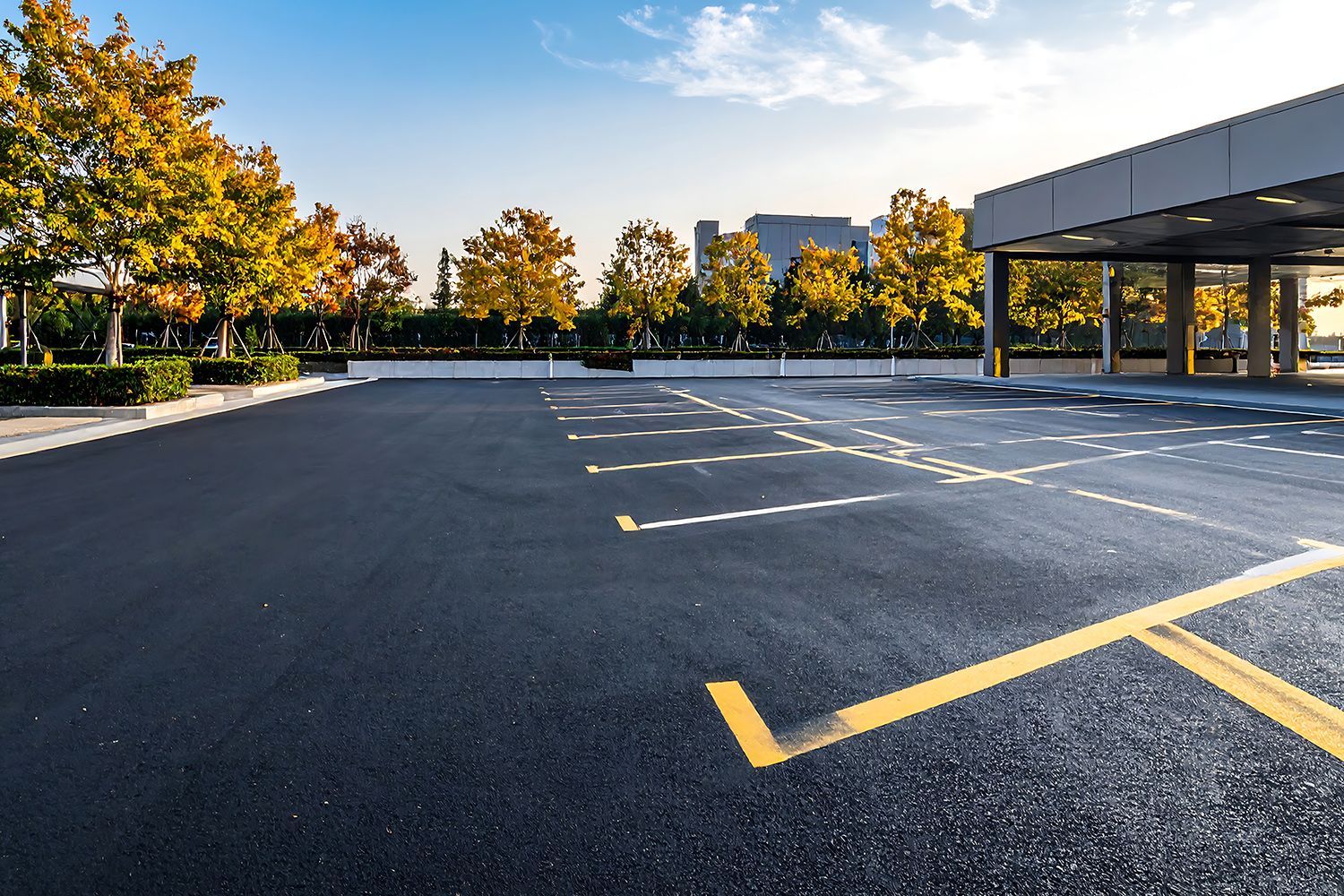 Empty asphalt parking lot with yellow painted lines; trees in autumn colors and a building are in the background. Empty asphalt parking lot with yellow painted lines; trees in autumn colors and a building are in the background.